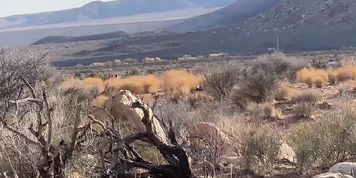 Miniatura de Desert Outdoor Deepthroat Blowjob Creampie