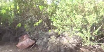 Miniatura de Jayne Anal Creampie Outdoor