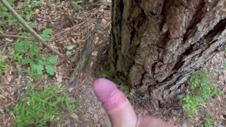 Miniatura de Morning masturbation in woods, huge cumshot