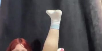 Miniatura de Amecita Chilena Solo Latina