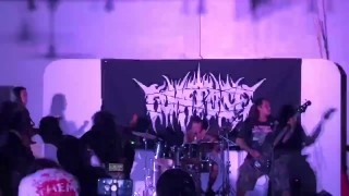 Miniatura de Sindickhate - Vaginal Penetration