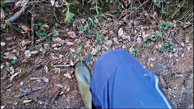 Miniatura de Timmig's Risky Gay Forest Jerk